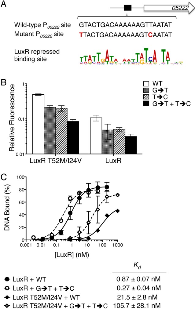 FIG 6 