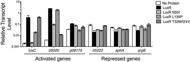 FIG 4 