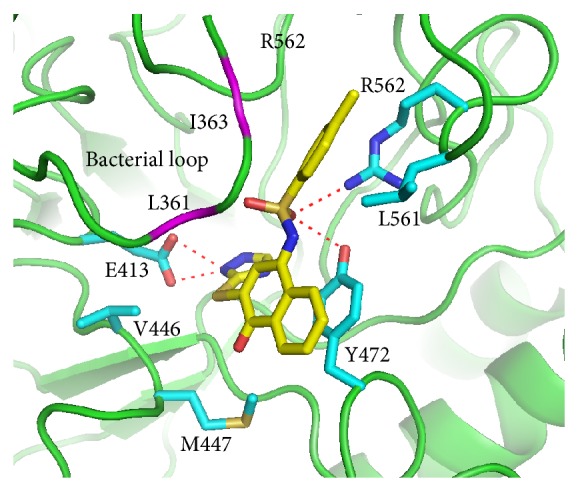 Figure 4