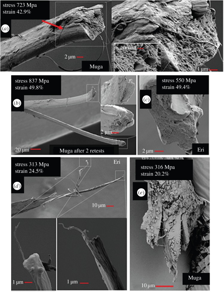 Figure 11.