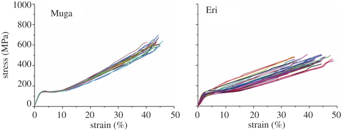 Figure 6.