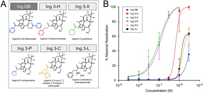 FIG 3