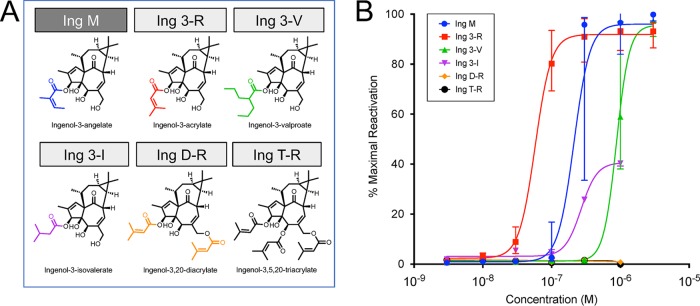 FIG 2