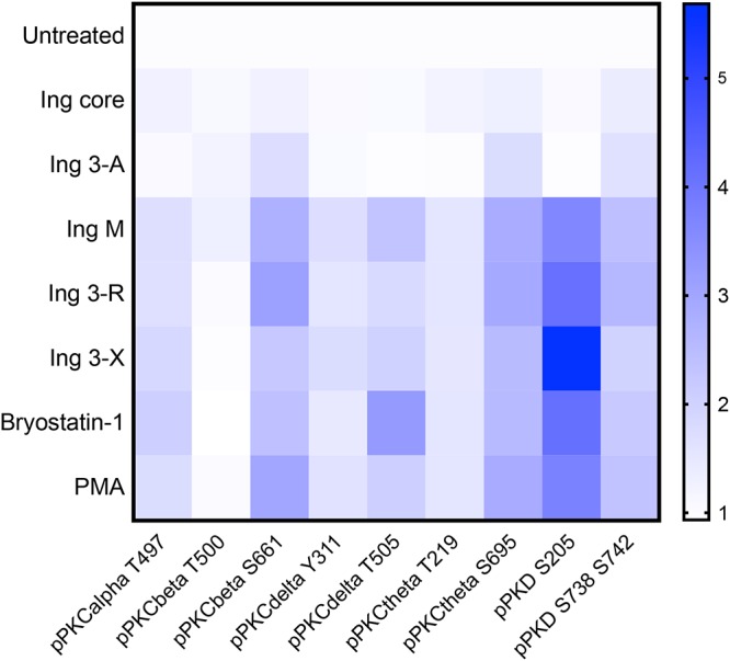 FIG 4