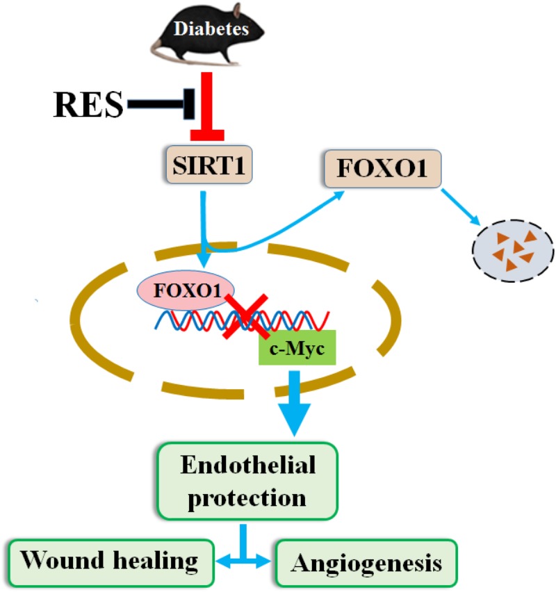 FIGURE 10