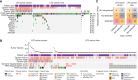 Figure 2. A, Oncoplot showing germline and somatic variants identified in the plasma of TP53m-carriers using targeted panel sequencing. Germline and somatic TP53 mutations are separated. Clinical information is shown at the top. B, Oncoplot showing somatic TP53 variants, TP53 fragmentation score, genome-wide fragmentation score, and copy-number inferred predicted tumor fraction profiled using a targeted panel and shallow whole-genome sequencing in TP53m-carriers. Clinical information is displayed at the top. Detection thresholds using TP53 and genome-wide fragmentation scores were calculated using the 90th percentile of LFS Healthy samples. C, Matrix displaying overlap between detection of cancer-associated genomic alterations using targeted panel sequencing and shallow whole-genome sequencing.