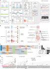 Figure 1. A, Illustrative abstract of sequencing protocol and analysis. B, Pictogram of the patient cohort and sample classification and terminology. C, Sankey diagram of patients in our cohort. Phenoconverter patients, those who transitioned between cancer statuses (negative/positive), were only counted once within the Active Cancer category. Cancer-free patients were those deemed clinically cancer-free at all time points collected. D, Location and number of cancer types clinically diagnosed in our LFS patient cohort. E, Line plots showing the time between each plasma sample collected per patient split by cancer status. Each line represents a patient, and points are colored by the patient's clinical cancer status at the time of collection. Xs denote patient death. F, Upset plot showing the number of samples across the different intersections of assays. B and C were created with BioRender.com.