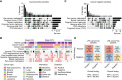 Figure 5. Upset plot showing the detection overlap between analyses in all cancer-positive samples (A) and cancer-negative samples (B). C, Tile plot comparison of cancer-associated signal detection across all analysis methods in cancer-positive samples. D, Confusion matrixes showing ctDNA and clinical detection rates for cancer-negative LFS samples and patients. Positive predictive values (PPV) and negative predictive values (NPV) are listed below.