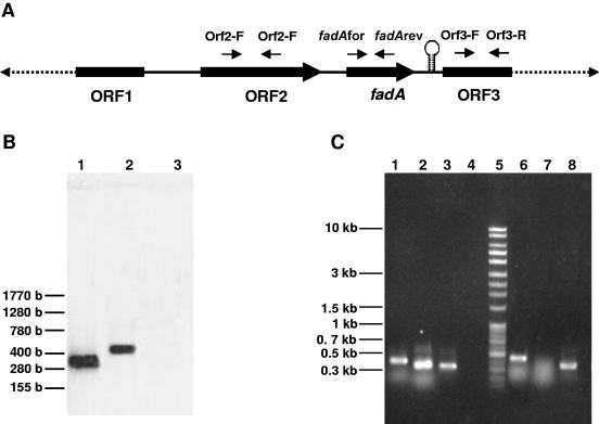 FIG. 5.