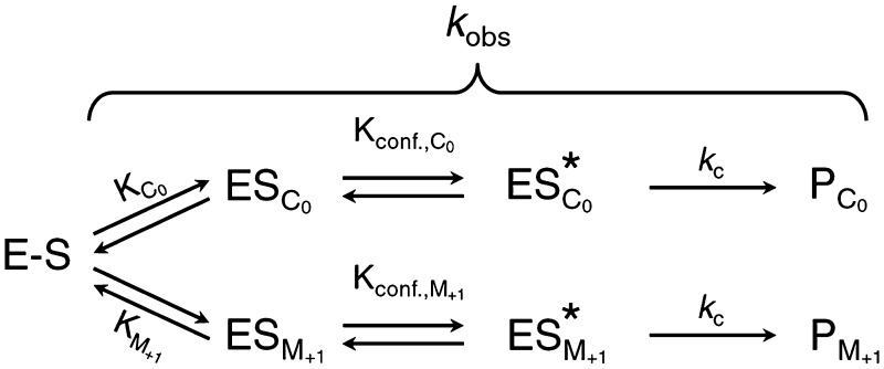 Scheme 1.