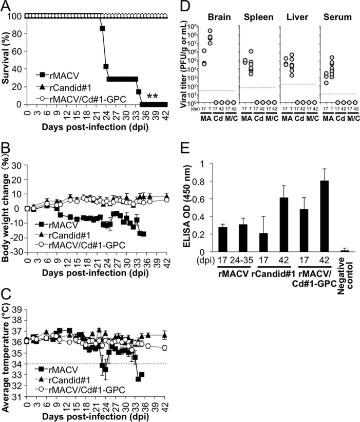 FIG 2