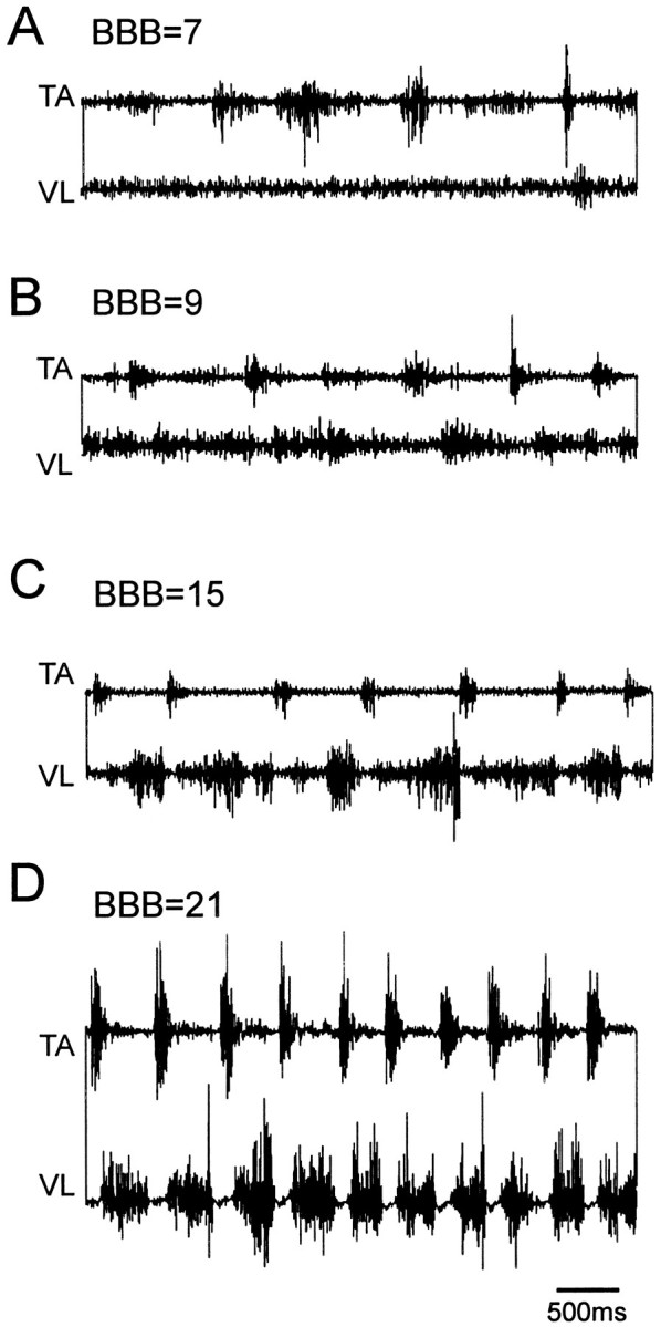 Fig. 5.