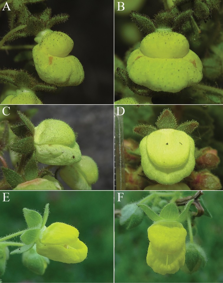 Figure 3.