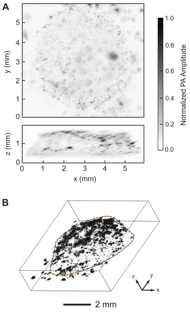 Fig. 4