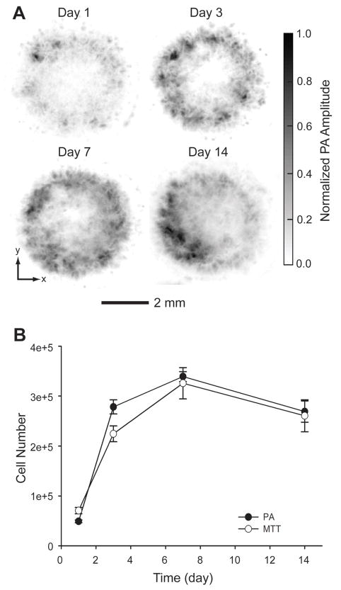 Fig. 7