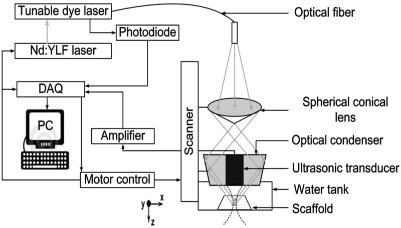 Fig. 1