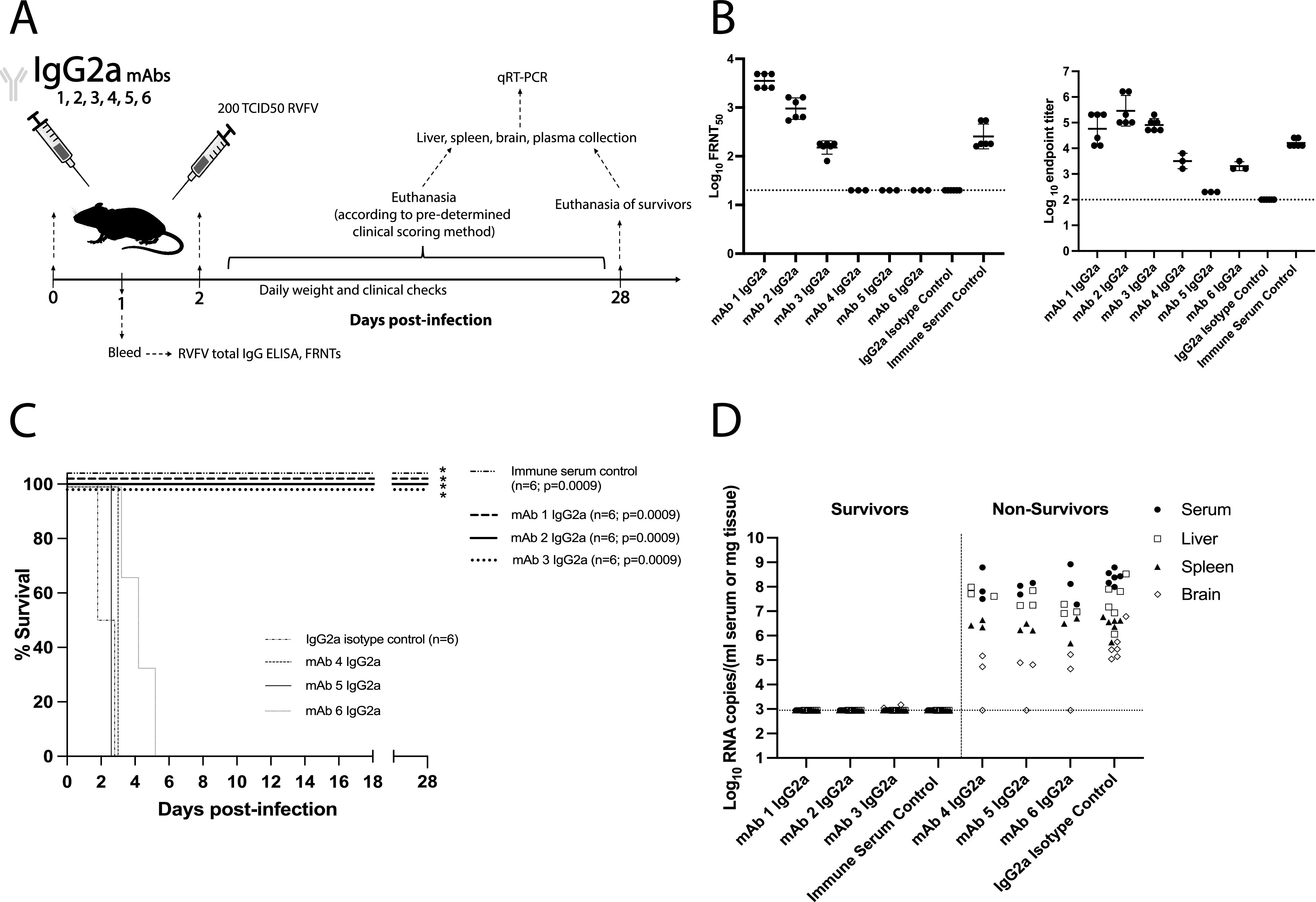 FIG 4