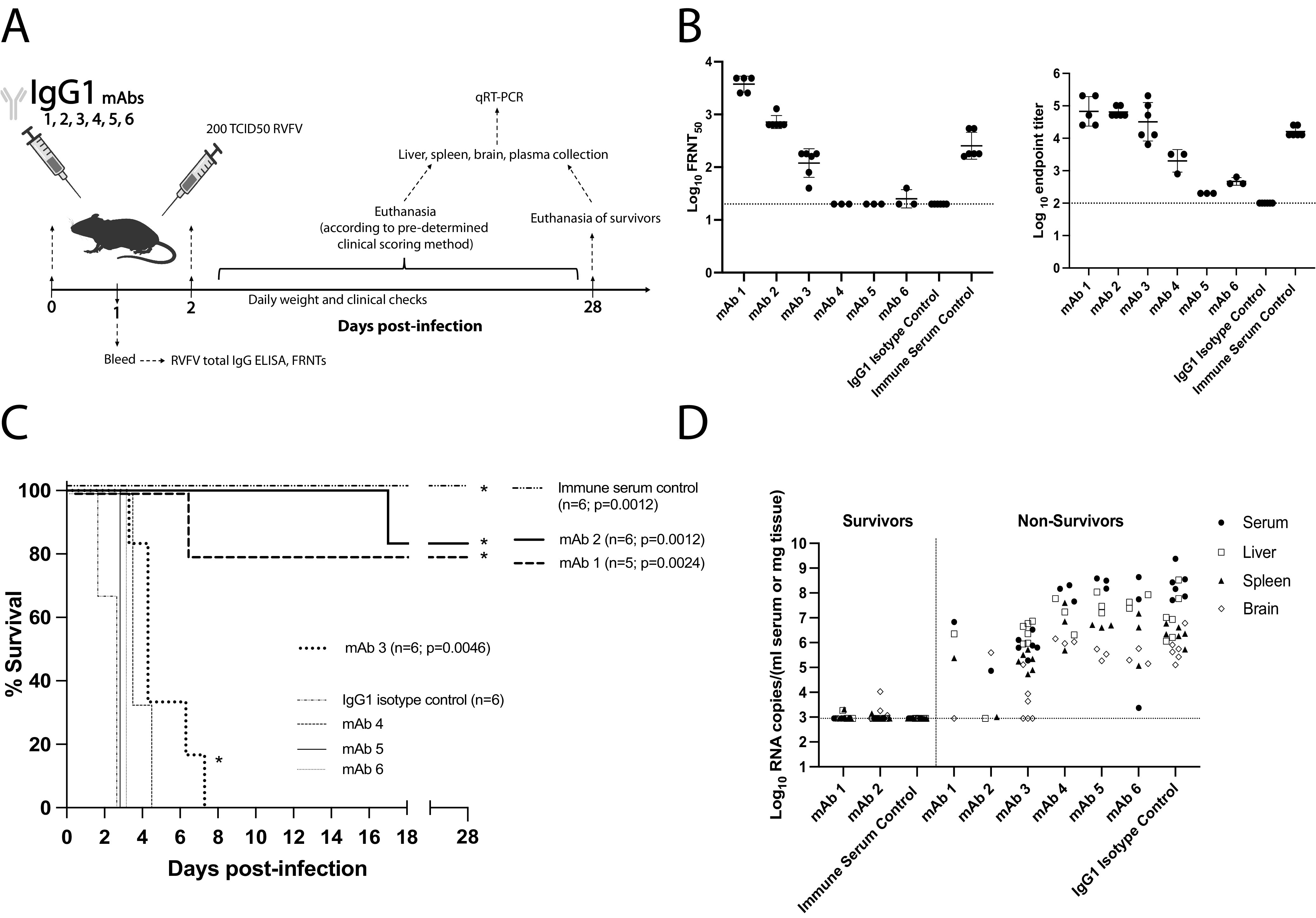 FIG 2