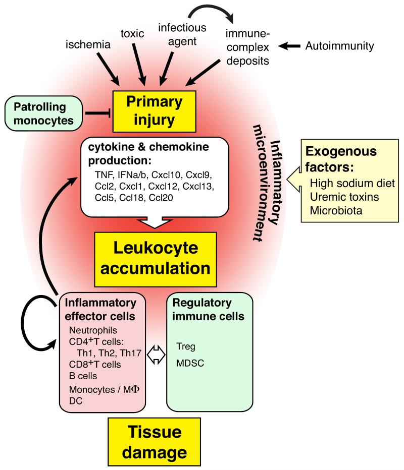 Key Figure, Figure 1