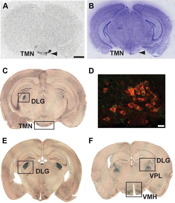 Figure 3.