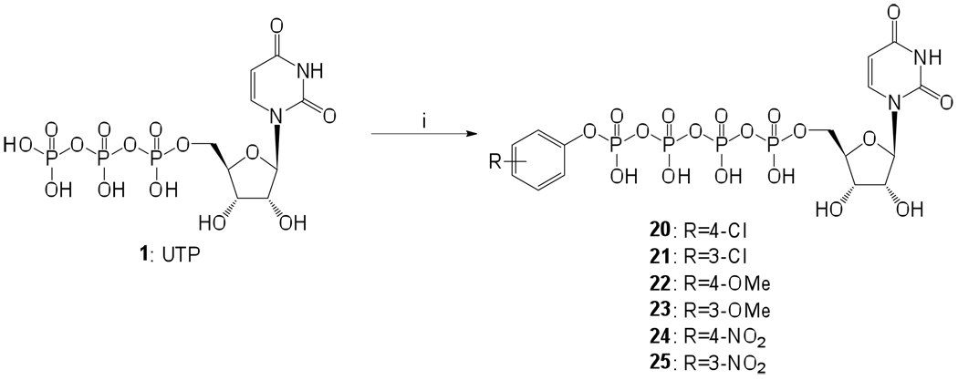 Scheme 5