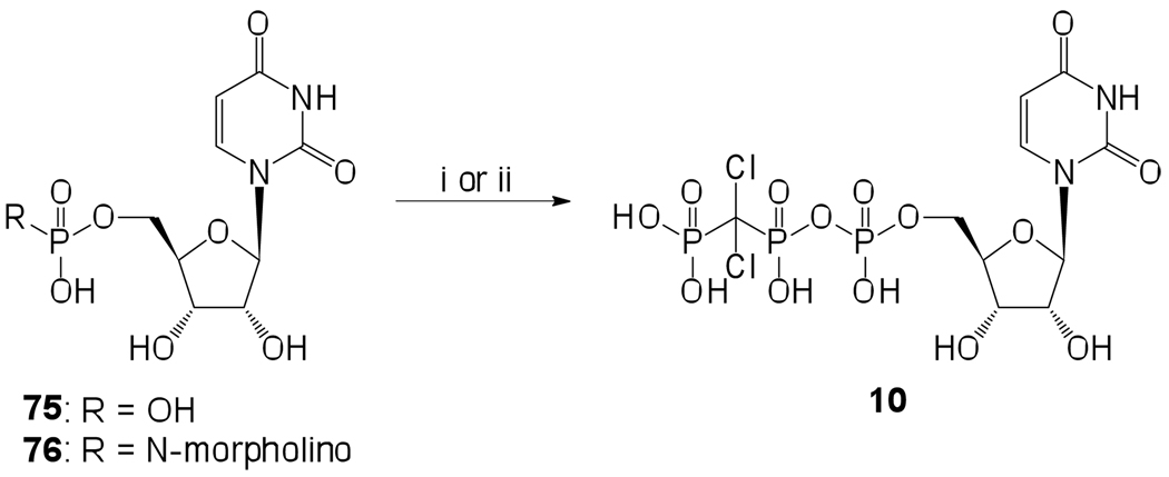 Scheme 4