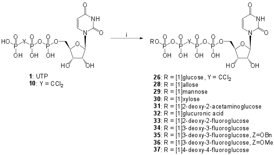 Scheme 6