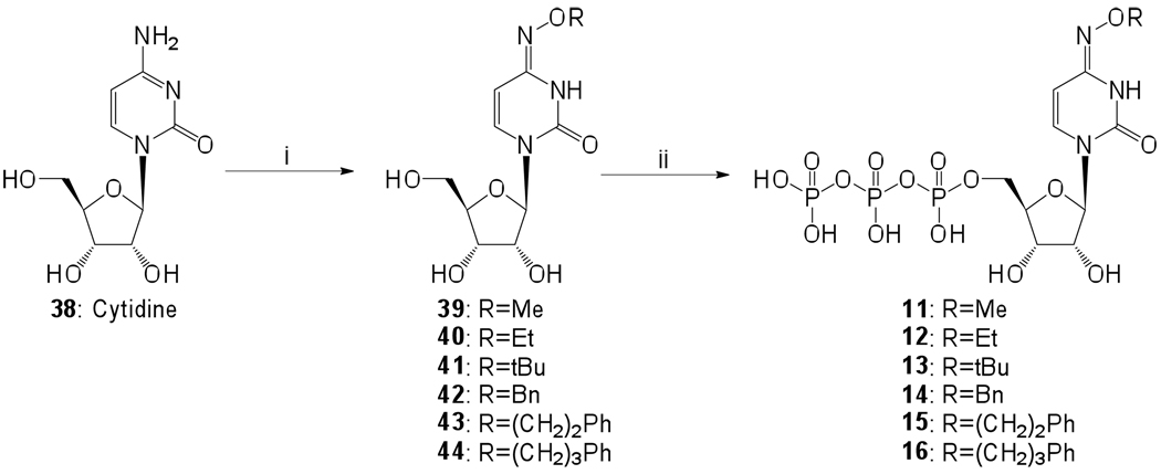 Scheme 1