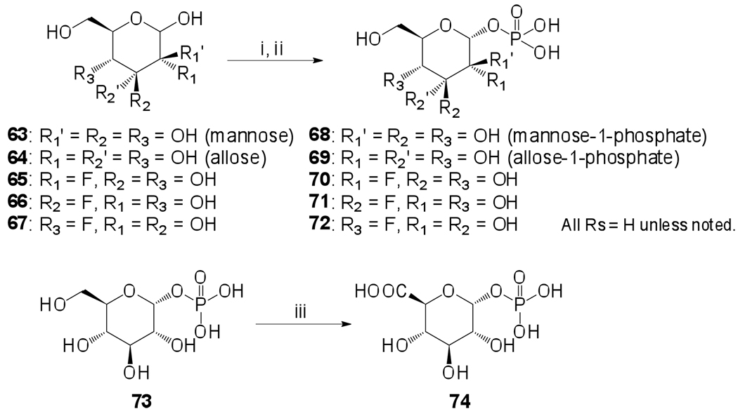 Scheme 3