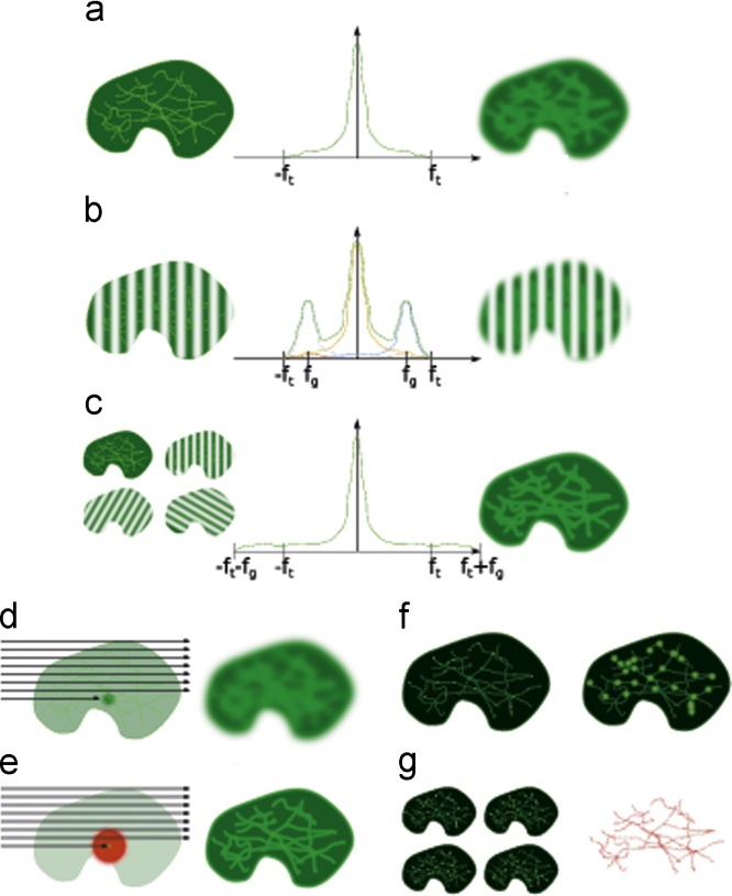 Fig. 1