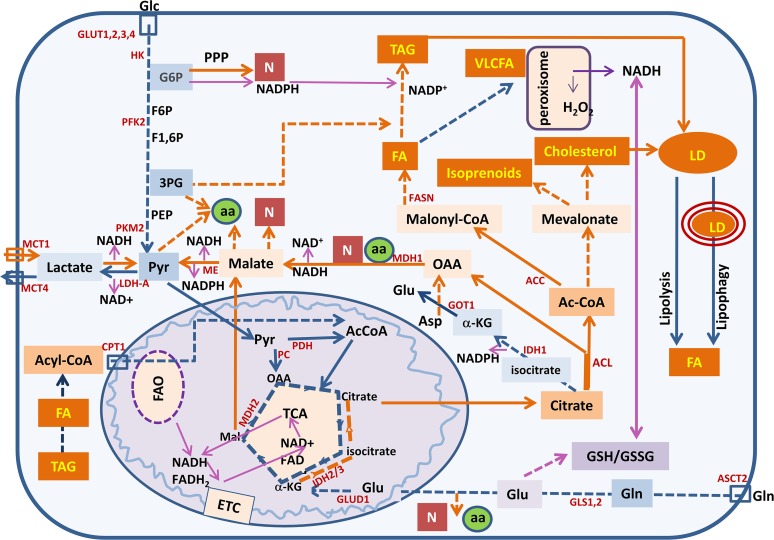 Fig. 1.