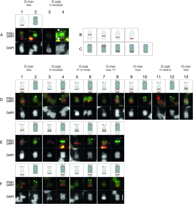 Figure 6.—