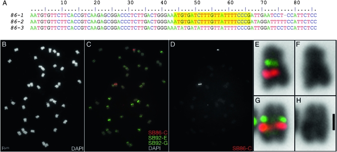 Figure 3.—