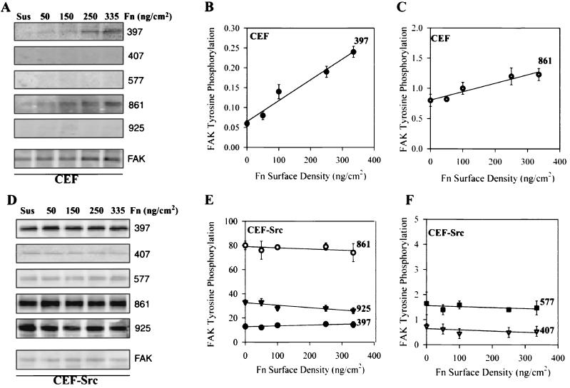 FIG. 8