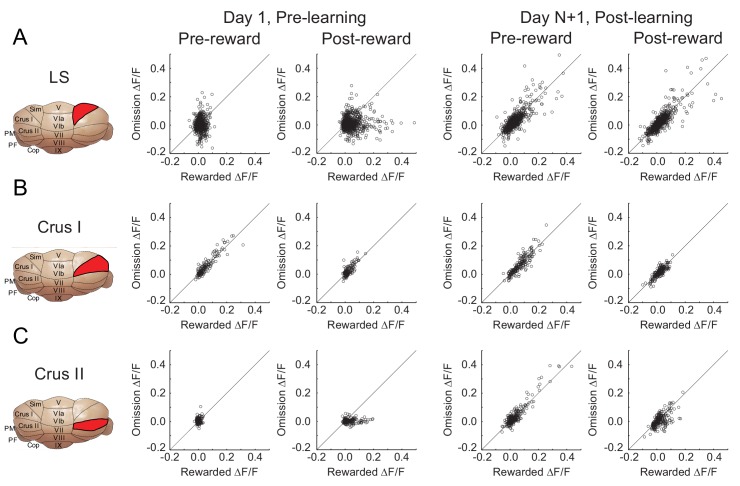 Figure 3—figure supplement 1.