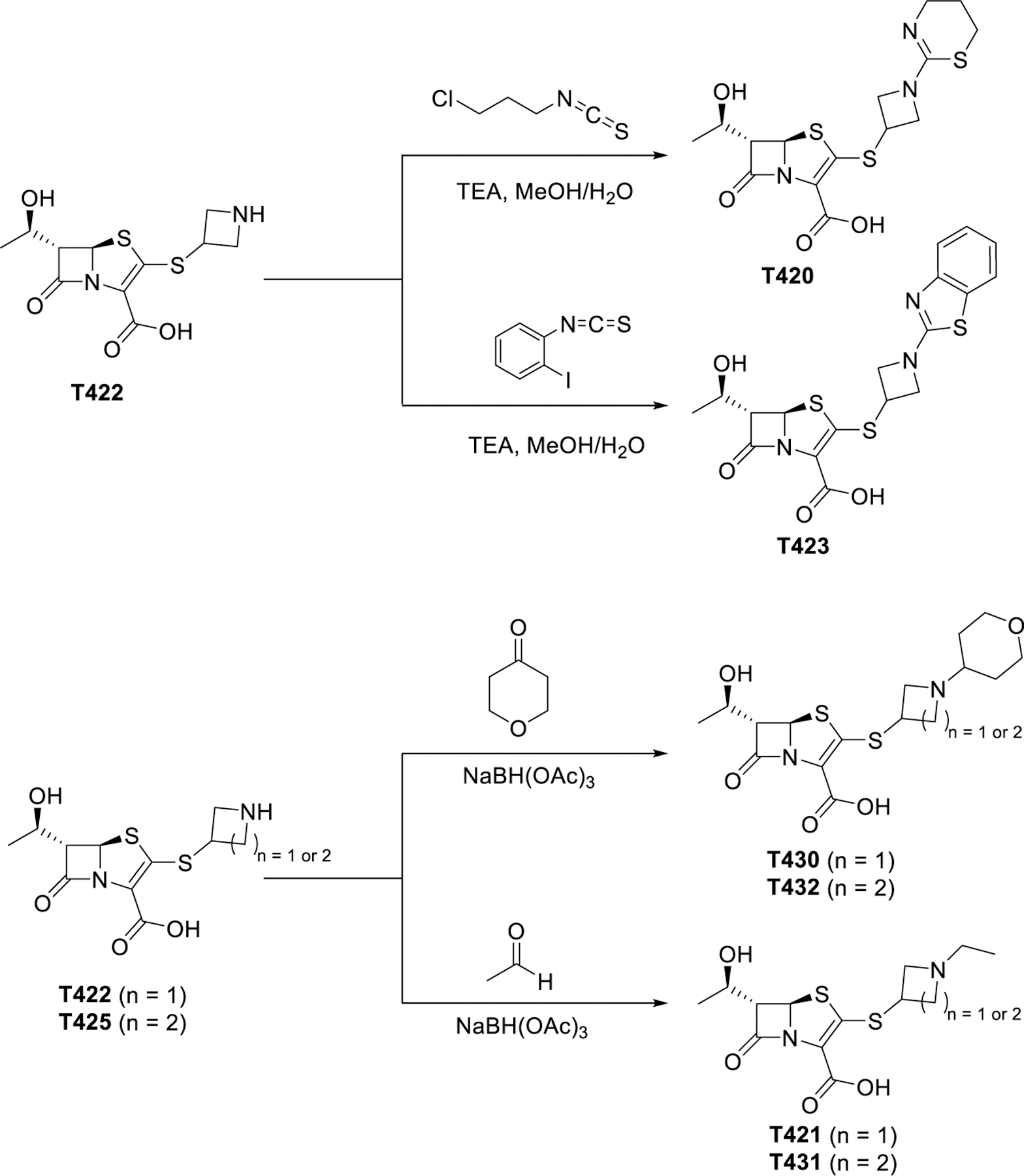 Scheme 3.