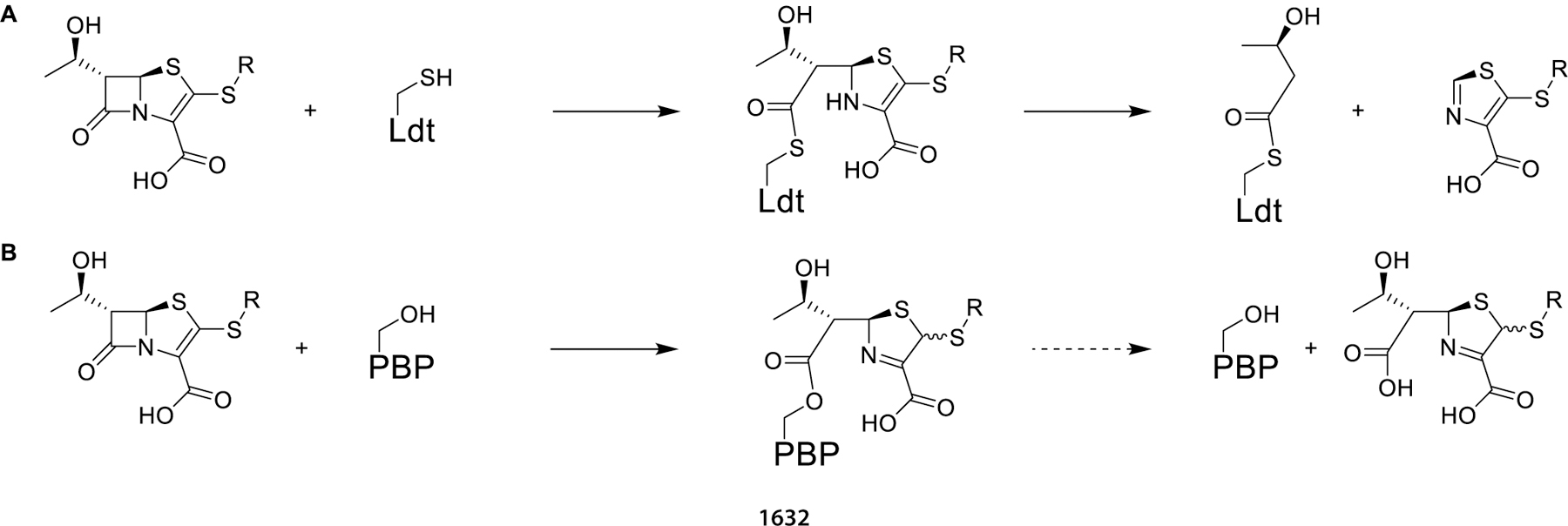 Scheme 4.