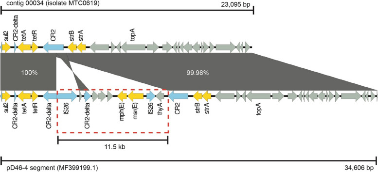 Fig. 4