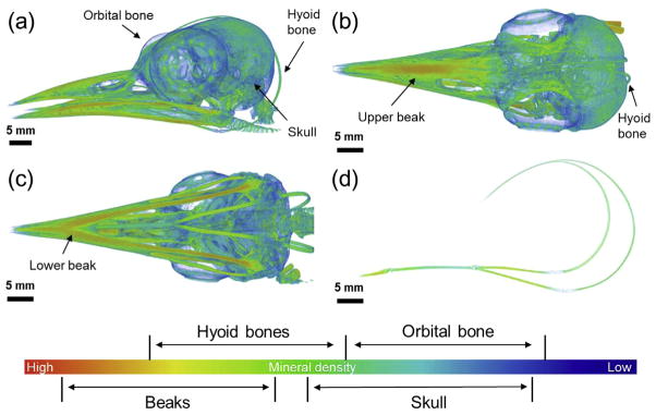 Fig. 3