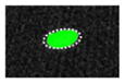 graphic file with name nihms780837t6.jpg