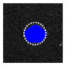 graphic file with name nihms780837t4.jpg