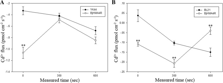 Fig. 12