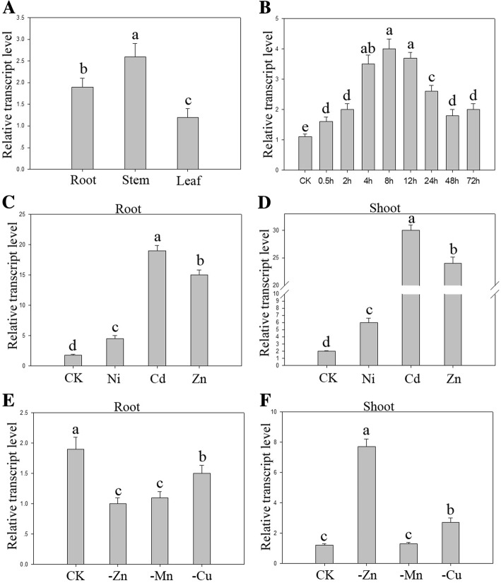 Fig. 2