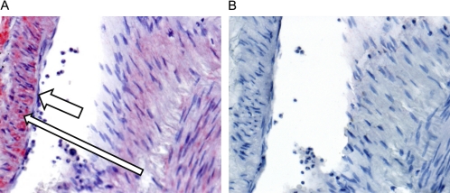 Figure 10.