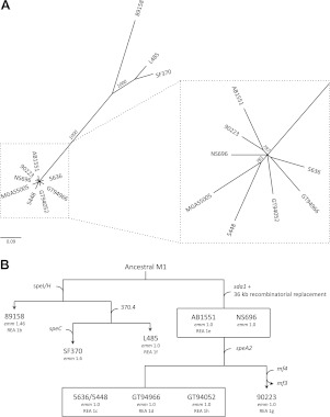 Figure 2.