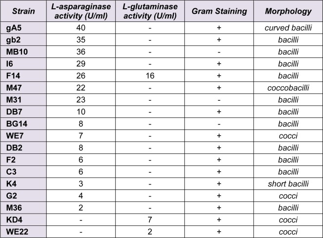 Table 1