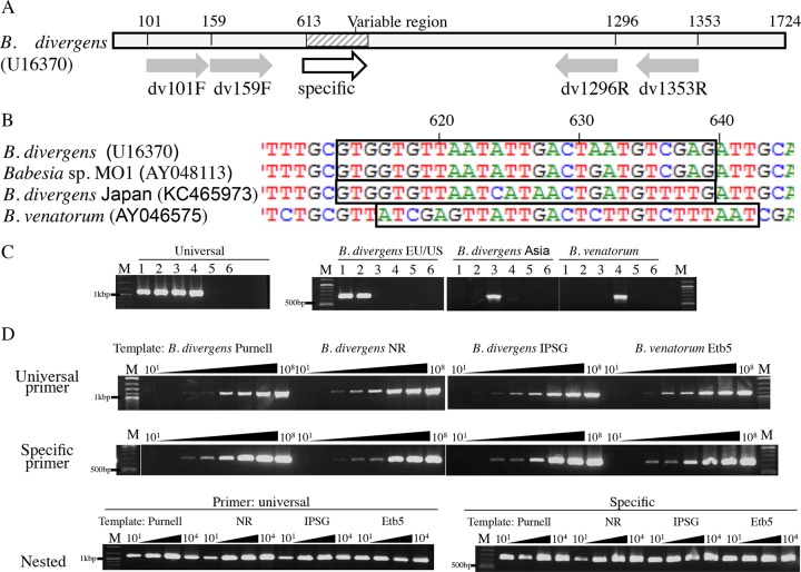 FIG 1