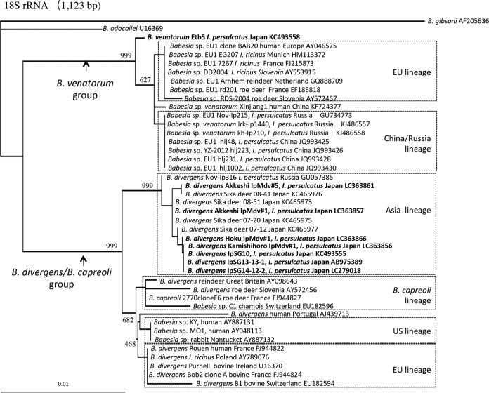 FIG 3