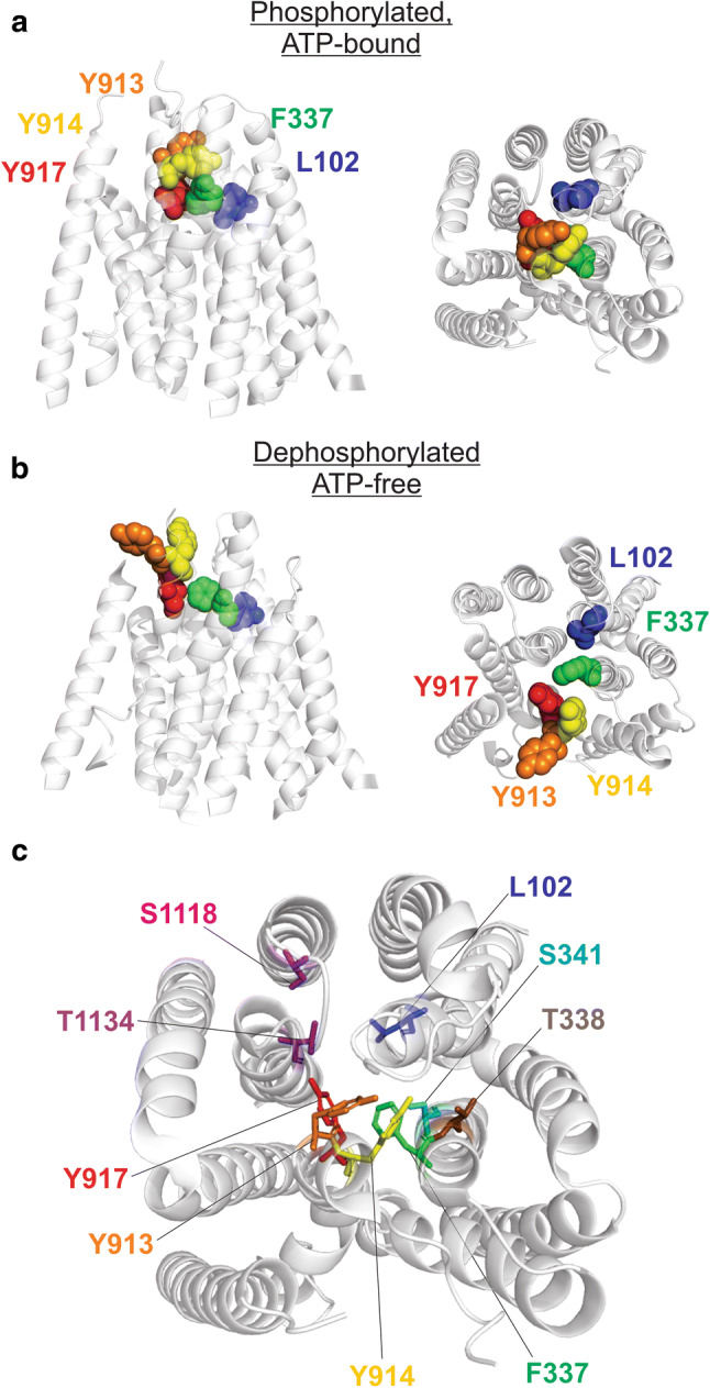 Fig. 7