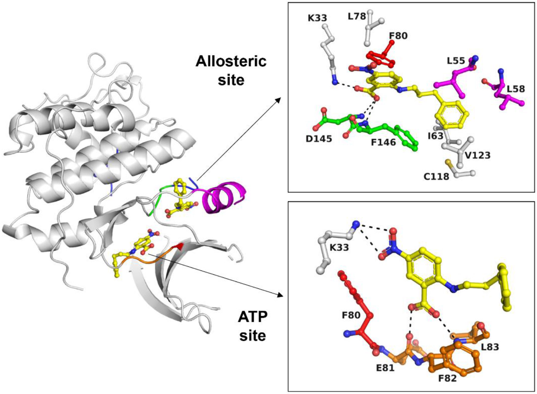 Fig. 2.